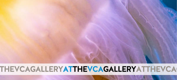 First Friday Gallery Opening