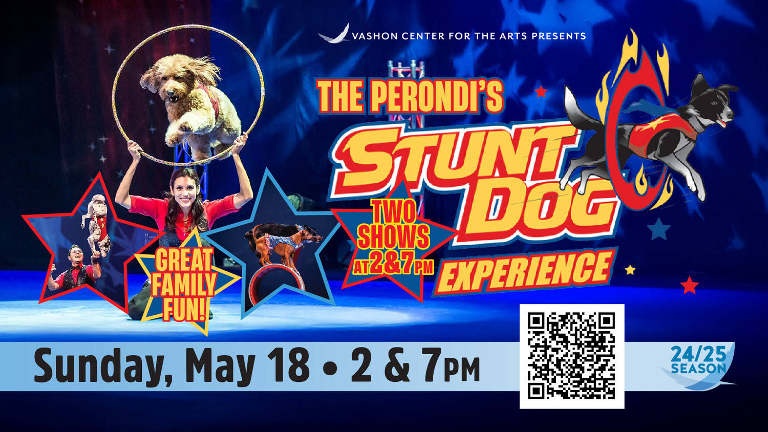 The Perondi's Stunt Dog Experience