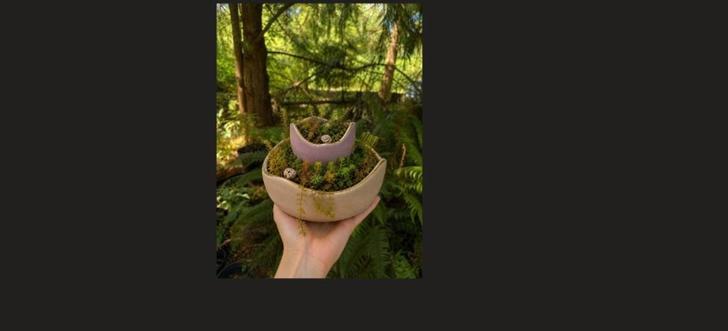 Crafts & Cocktails: Tabletop Succulent Garden