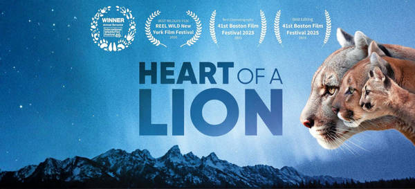 Heart of Lion Film Screening/Talk