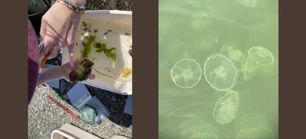 Puget Sound Explorers Camp 