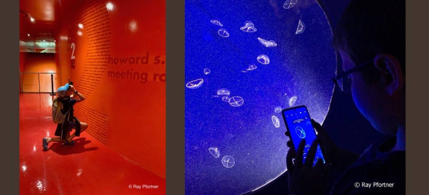 Wild About Photography 