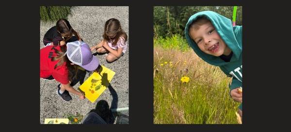 Late Start Arts - Wild & Wondrous: Nature Magic with a Naturalist