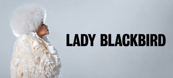 Lady Blackbird