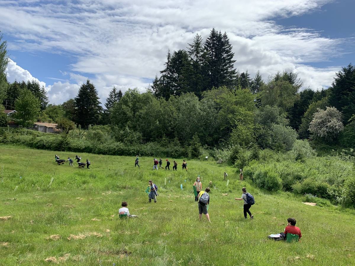 The Heron Meadow