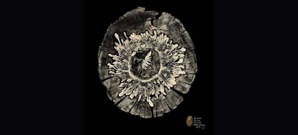 Gyotaku Print Making: The Magnificent Seven 