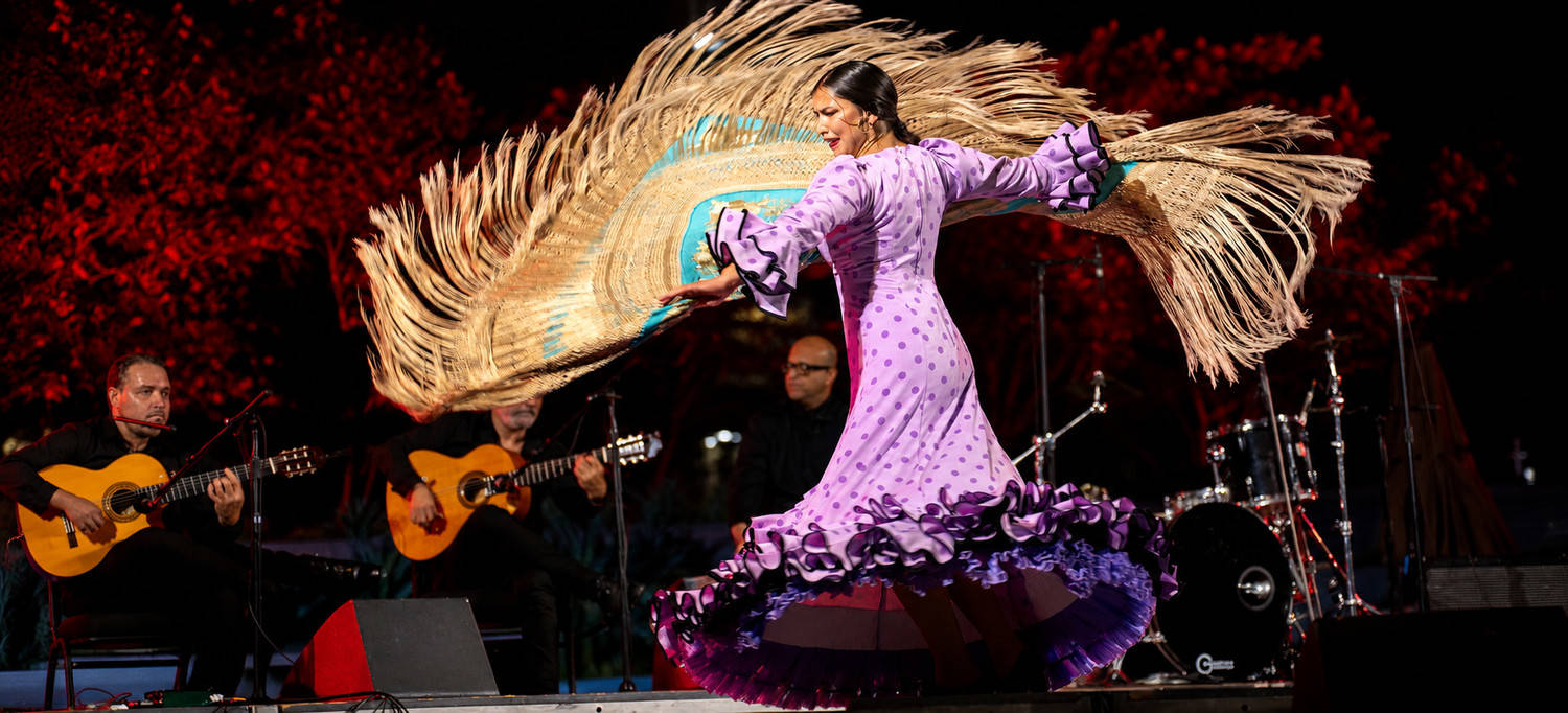 Jesús Muñoz Flamenco